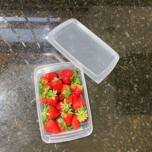 Caixa-Organizadora-Plastica-para-Frutas-e-Hortalicas-Mini-Transparente-Utti-Ordene-ambientada