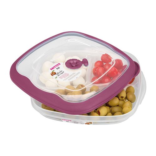 pote-petisqueira-plastico-quadrado-hermetico-com-divisoria-acai-15l-flor-sanremo pote-petisqueira-plastico-quadrado-hermetico-com-divisoria-acai-15l-flor-sanremo